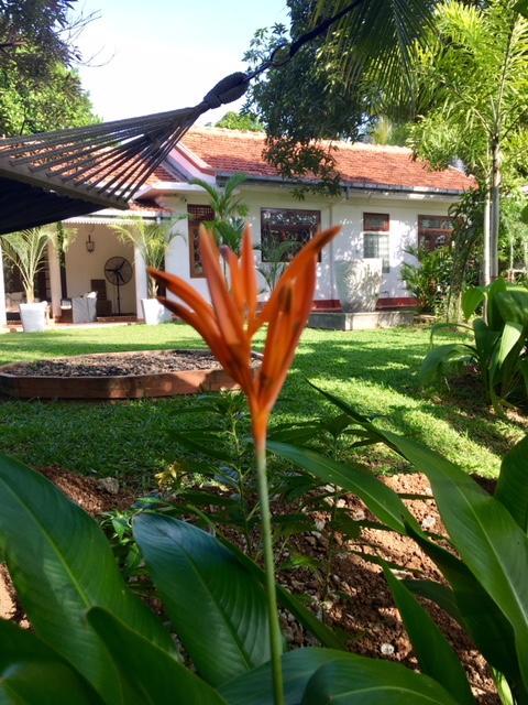 Temple House Villa Hikkaduwa Exterior photo